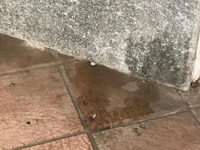 Portici tra cicche, cartacce e urina