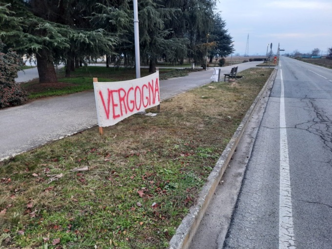 «Abbattuti gli alberi di pregio di via Dalla Chiesa: perché?»