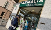Barbone ruba in farmacia a Chivasso