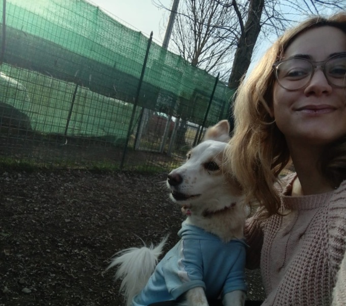 Affida i suoi cani al canile: non glieli ridanno indietro