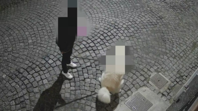 Il cane fa la cacca e lui se ne frega…
