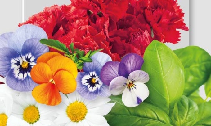 In regalo con la Nuova Periferia fiori… da mangiare