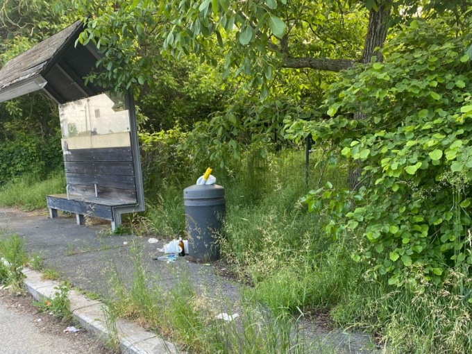 La fermata dei bus sembra una foresta invasa da birre