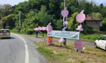 La Collina si colora di rosa per il Giro d'Italia... ma Chivasso no