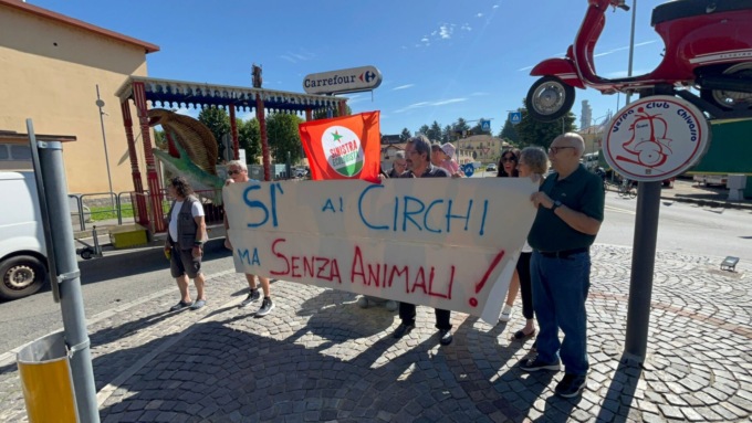 Chivasso contro gli animali nei circhi IL VIDEO