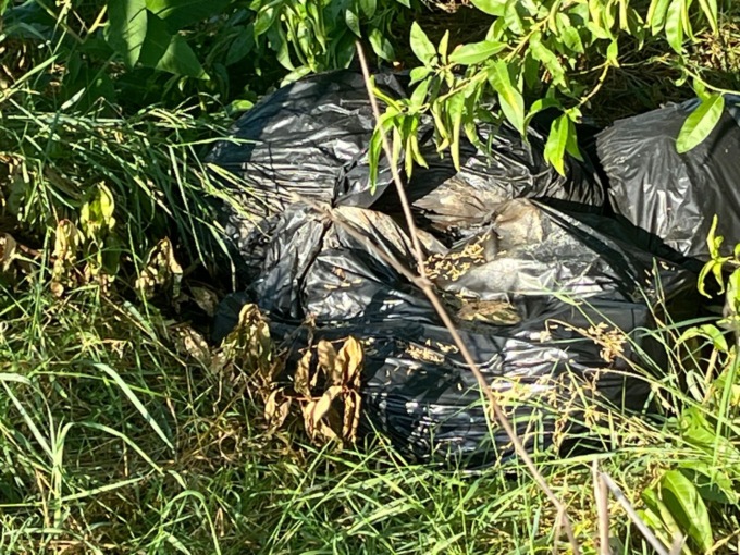 Polli morti abbandonati, «I colpevoli pagheranno»