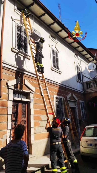Gatto salvato dai vigli del fuoco