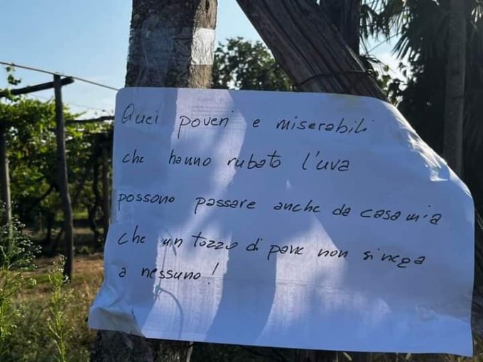 Rubano nei vigneti e negli orti: «E’ un gesto vile e maleducato»