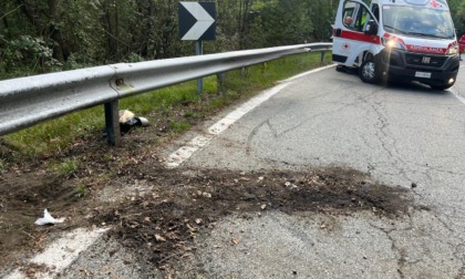 Motociclista si schianta contro il guard rail nella strada proibita