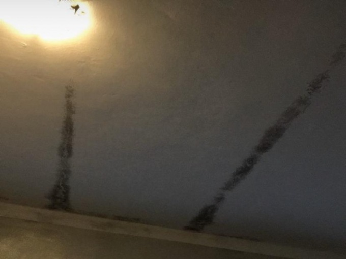«Muffa in casa e poca sicurezza: Atc e Comune non ci aiutano»