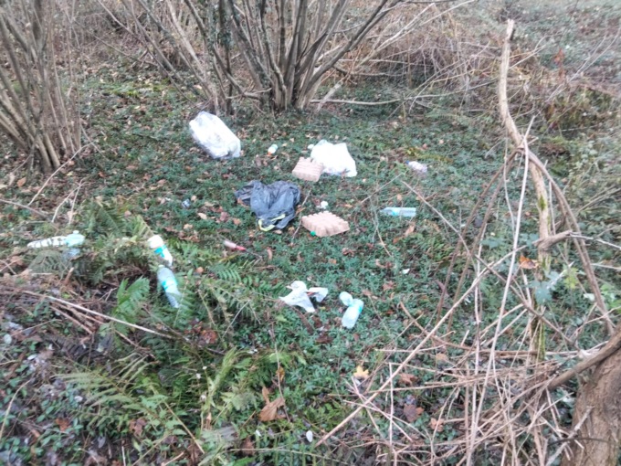 Abbandono dei rifiuti, interviene l’Ispettore di Polizia Rurale