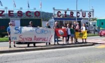 Circo, nuove regole a Chivasso