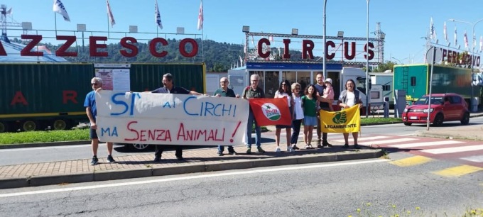 Circo, nuove regole a Chivasso