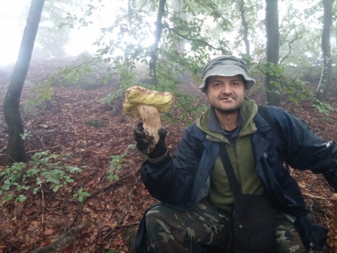 La tragedia nel bosco: addio Cesco