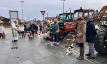 In festa per Sant'Antonio Abate: benedizione degli animali e mezzi agricoli