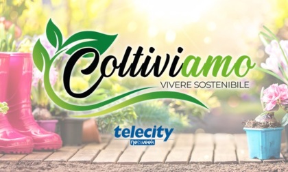 ColtiviAmo, su Telecity arriva un nuovo programma dedicato al mondo green