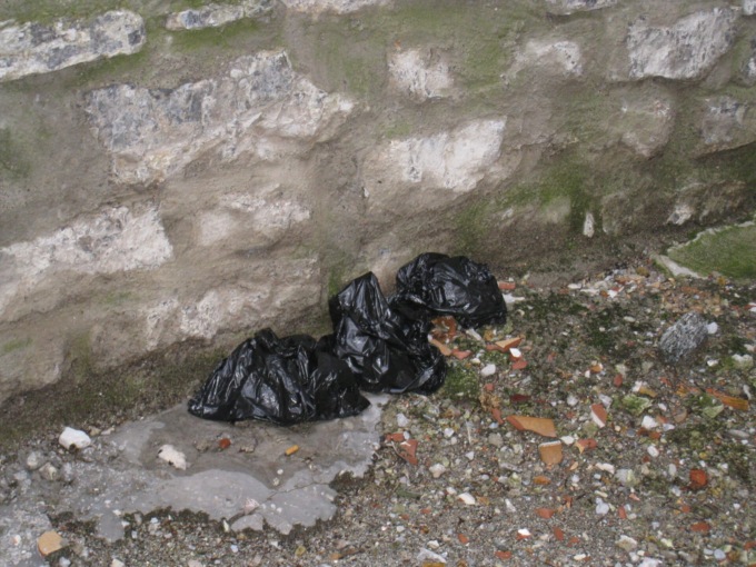 Aiuole e bidoni sono discariche di cacche