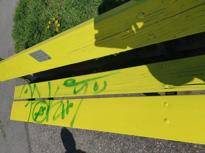 I vandali imbrattano la scuola e la panchina contro il bullismo