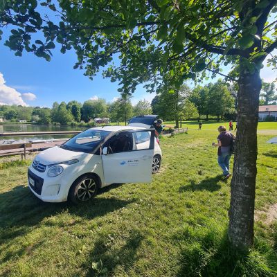Candia, una moria di carpe nel lago