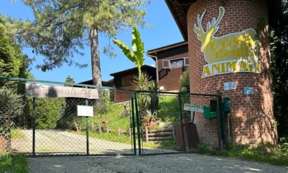 Alluvione, "L'oasi degli animali" ha bisogno di aiuto