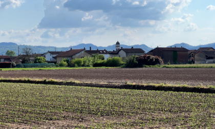 Le Guerre e le Crisi mettono in ginocchio l’agricoltura