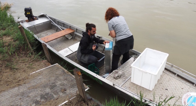 Microplastiche, una minaccia per l’ecosistema