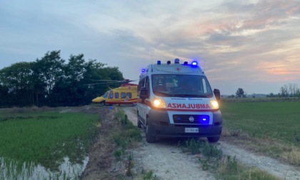 Punto da un calabrone, in elicottero alle Molinette