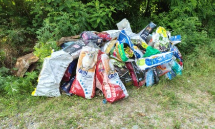 Scoperta una discarica di pile al litio