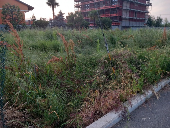 Questo non è il parco giochi promesso alla vigilia del voto