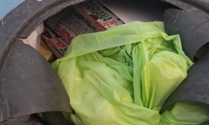 Cartoni della pizza gettati nella campana della plastica