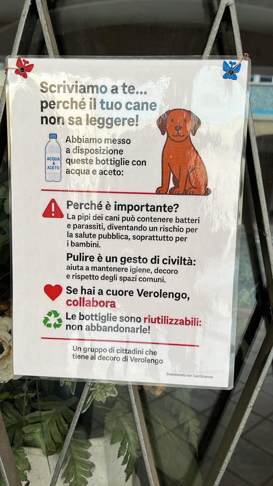 Immagine WhatsApp 2025-07-13 ore 09.01.15_31caf1fd
