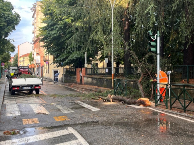 Forte temporale, un albero caduto nel viale