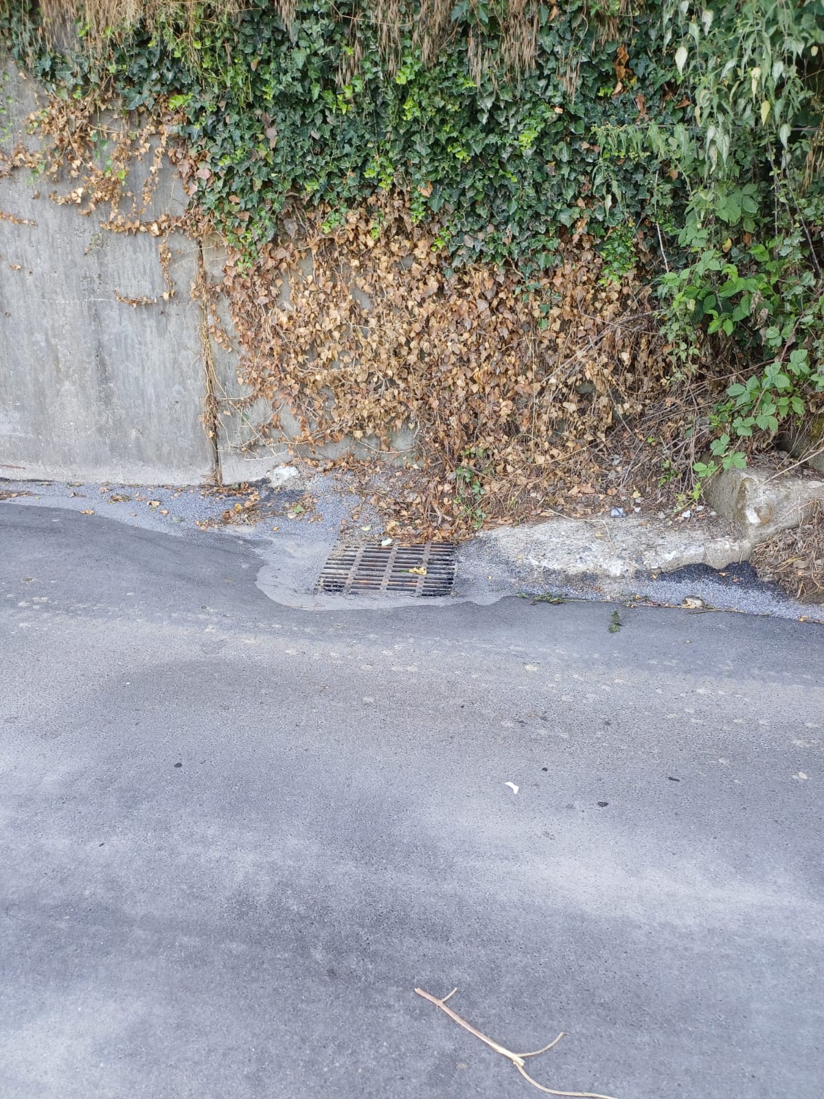 canalizzazione_acqua_piovana_su_S.P. 99_a Castagneto Po_07_2025_1