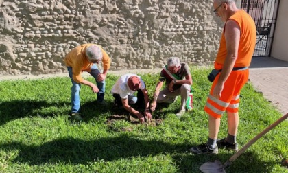 “Un albero pedala attraverso l’Europa” arriva in città