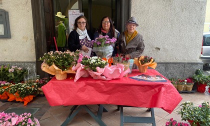 Un cippo in ricordo delle persone vinte dai tumori