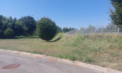 Degrado in via Falcone, tra rifiuti e… “coppiette”