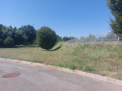 Degrado in via Falcone, tra rifiuti e… “coppiette”
