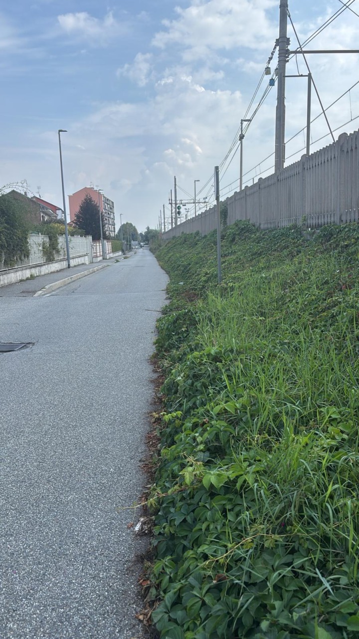Le erbacce invadono la strada: impossibile passare
