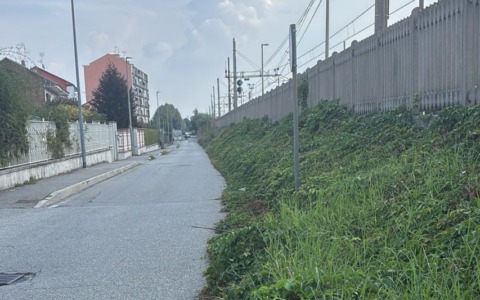 Le erbacce invadono la strada: impossibile passare