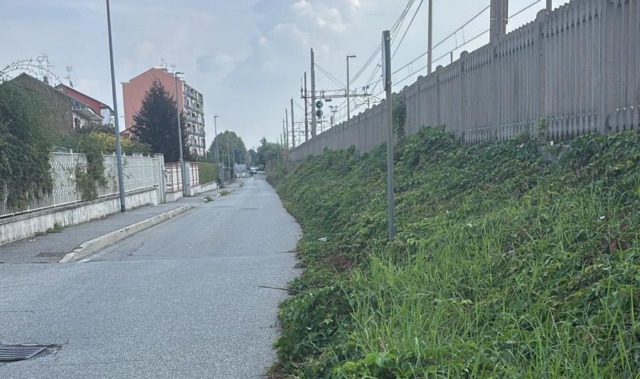Le erbacce invadono la strada: impossibile passare