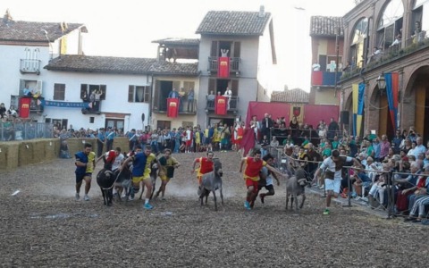 Domenica 28 settembre si corre il Palio degli Asini a Cocconato