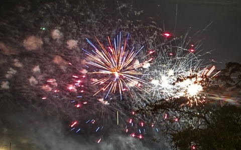 Fuochi d’artificio silenziosi a Saluggia? La delusione del Canile