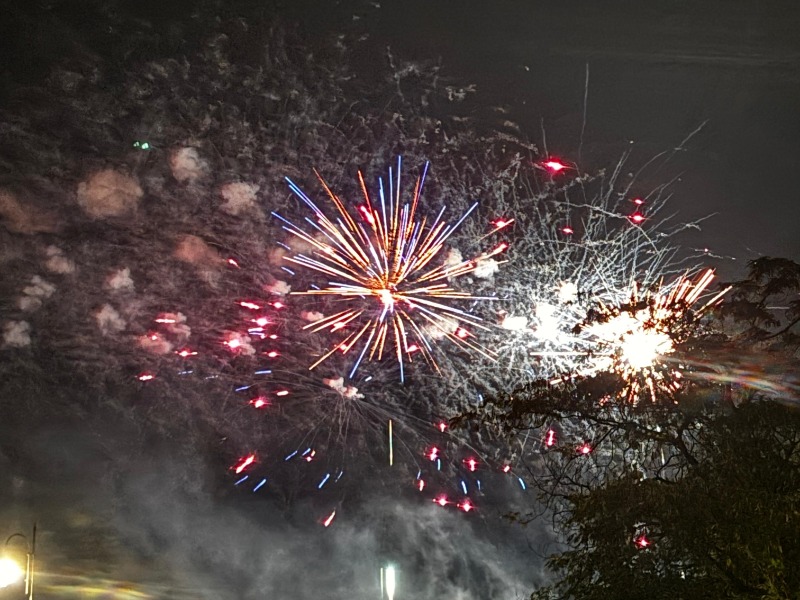 Fuochi d’artificio silenziosi a Saluggia? La delusione del Canile