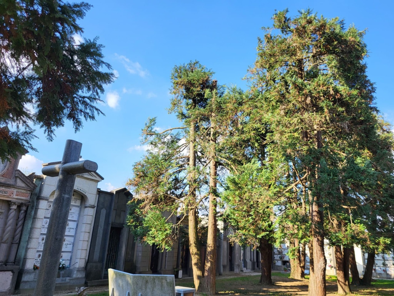 Terminati gli interventi di manutenzione del verde al Cimitero