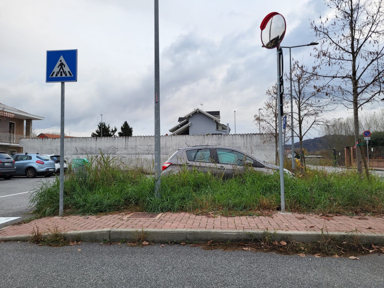 Degrado e verde pubblico: presentata un’interrogazione