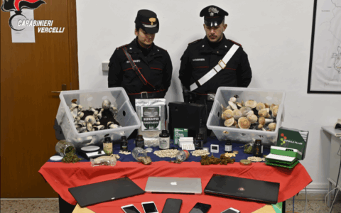 Donna vaga scalza in stato confusionale: scoperto laboratorio di Psilocibina