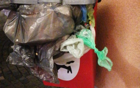 «I cestini delle deiezioni canine non sono per i rifiuti domestici»