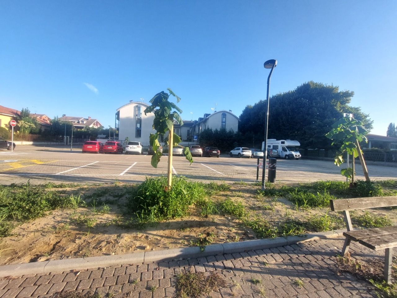 Piazza Orchidea, mercato rionale stabile entro la fine del 2026