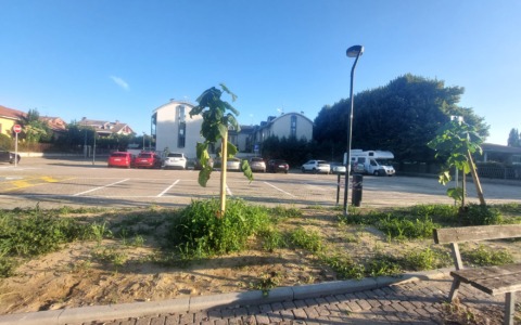 Piazza Orchidea, mercato rionale stabile entro la fine del 2026