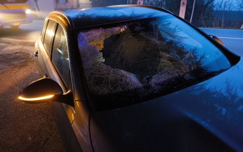 Mark, polemiche e ricordi di chi lo ha conosciuto: “Perdita ingiusta”